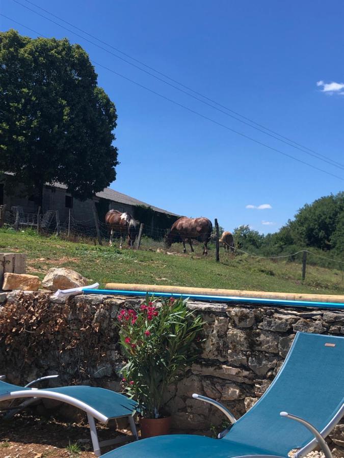 La Ferme De La Truffe Chambres D Hotes Cuzance Εξωτερικό φωτογραφία
